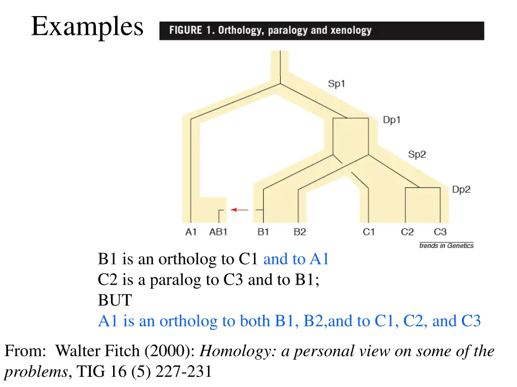 examples