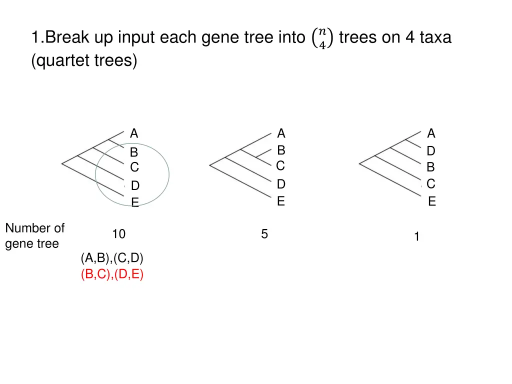 1 break up input each gene tree into quartet trees 1