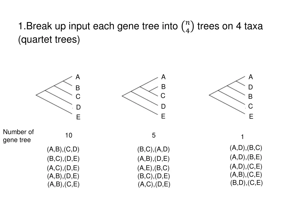 1 break up input each gene tree into quartet trees 2