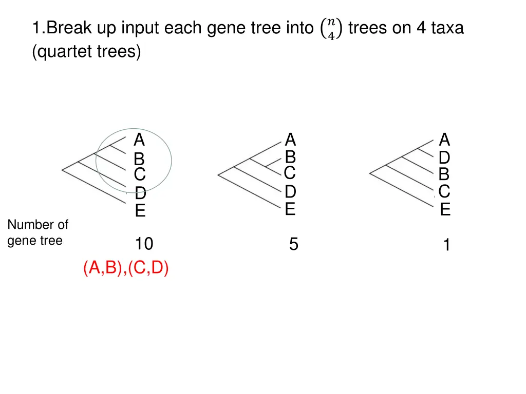 1 break up input each gene tree into quartet trees