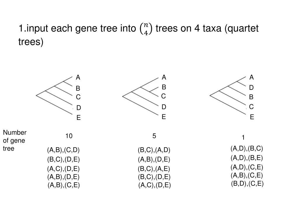 1 input each gene tree into trees