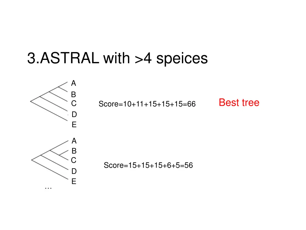 3 astral with 4 speices