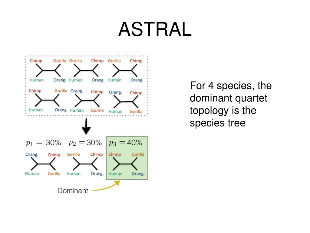 astral 1