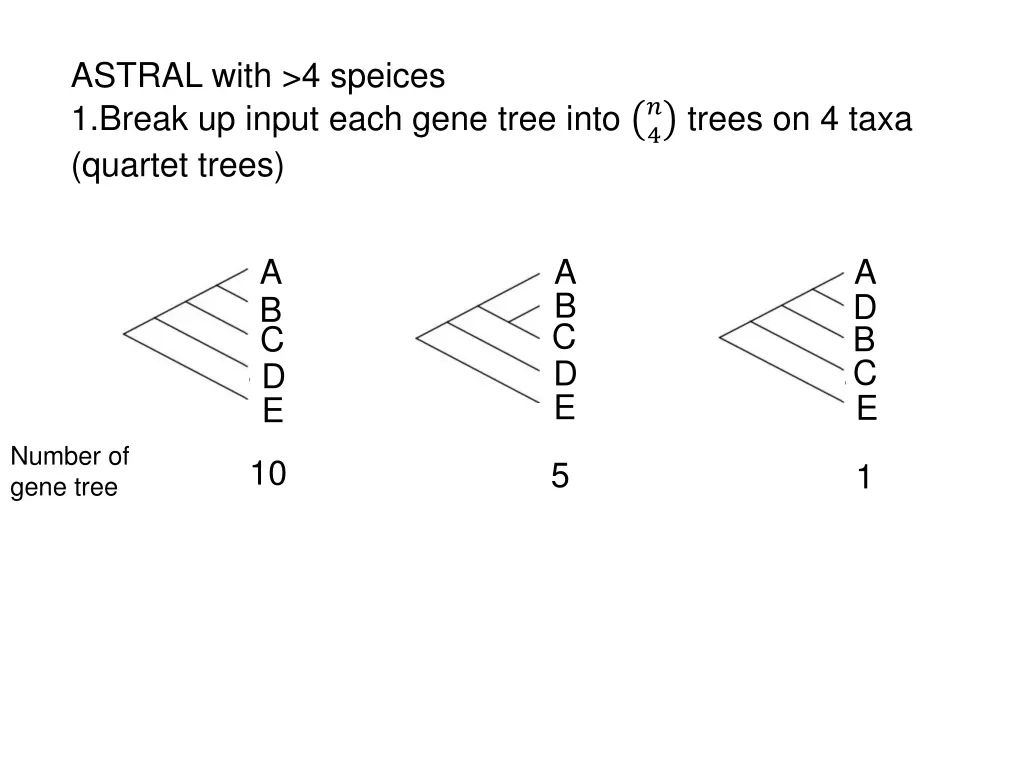 astral with 4 speices 1 break up input each gene