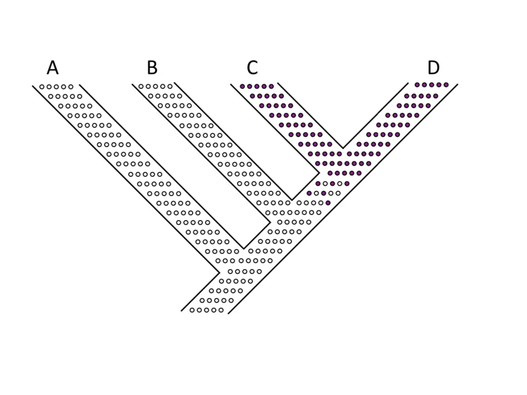 slide11