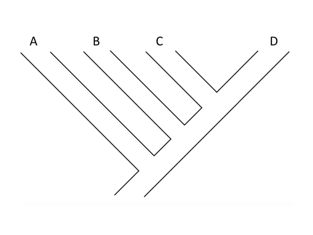 slide13