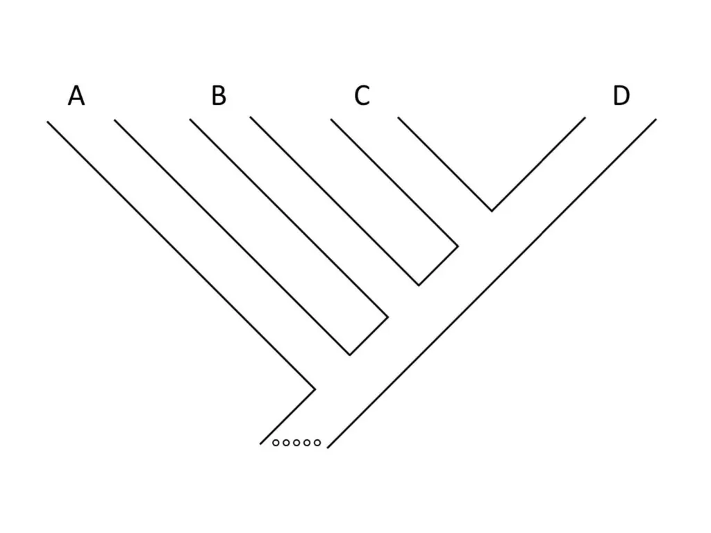 slide14