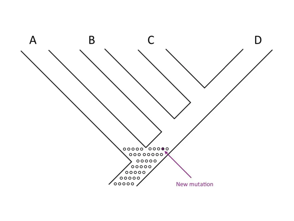 slide15