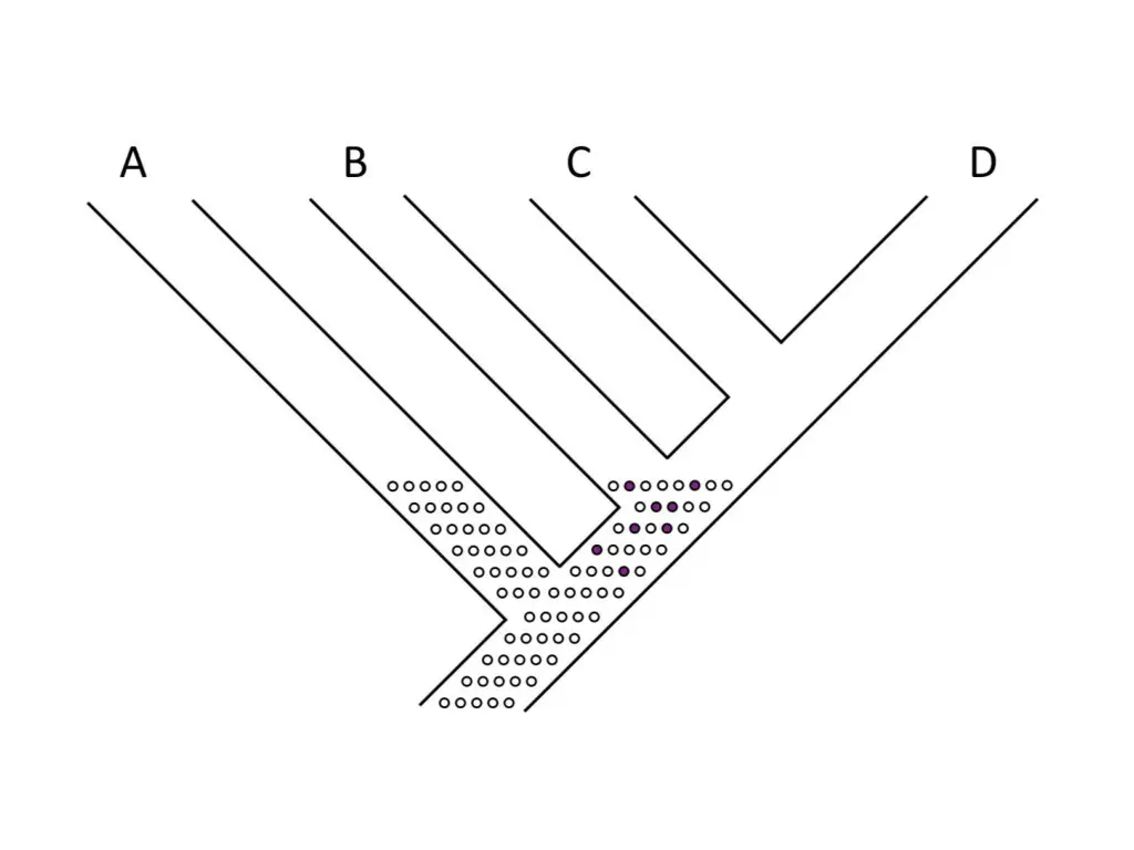 slide16