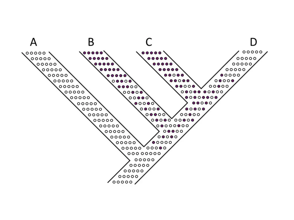 slide17
