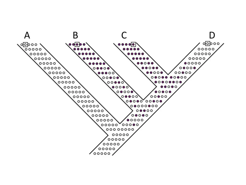 slide18