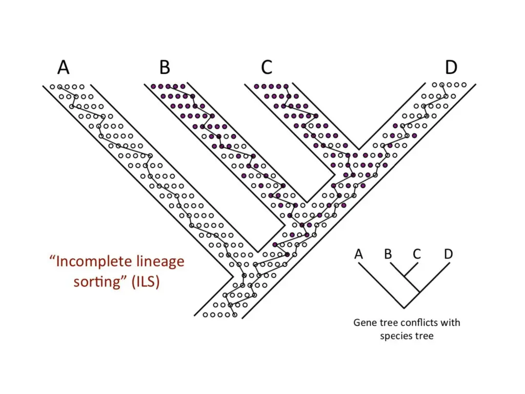 slide19