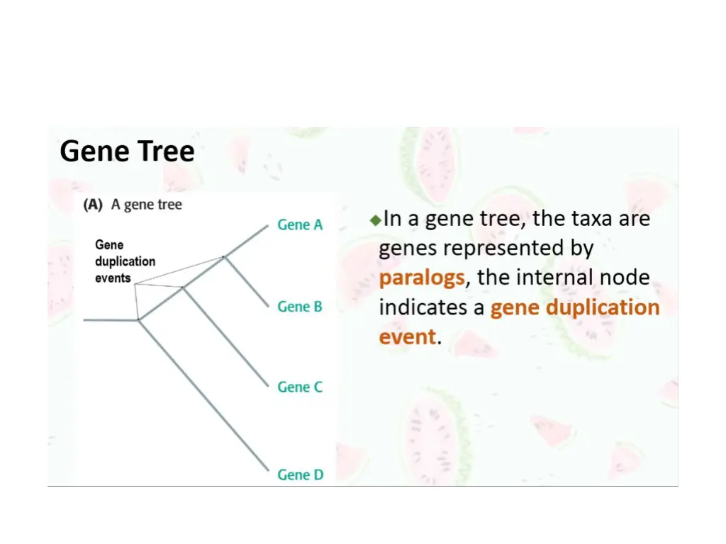 slide3