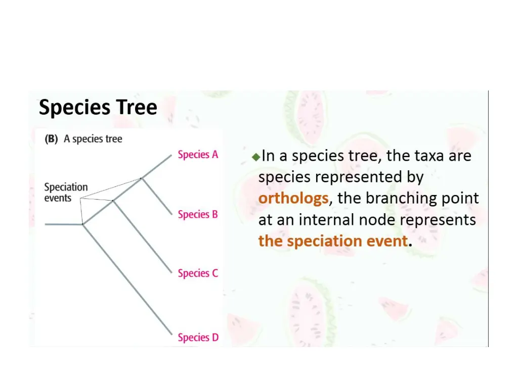 slide8