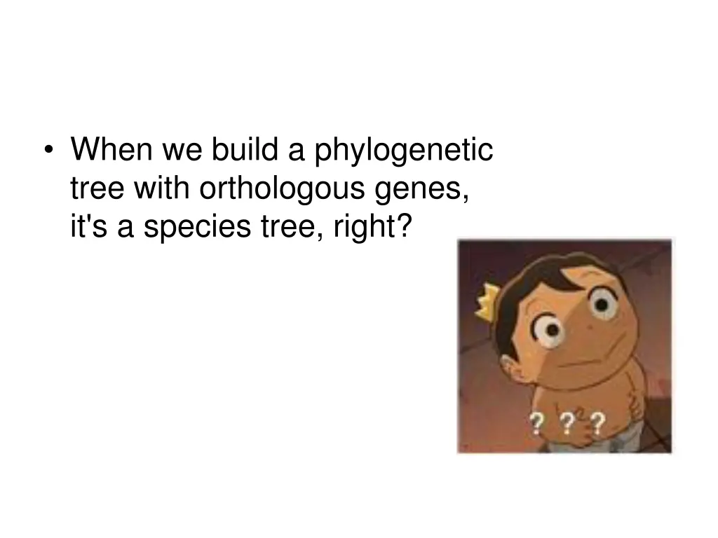 when we build a phylogenetic tree with