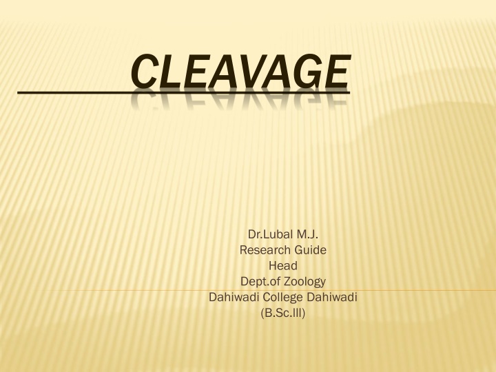 cleavage