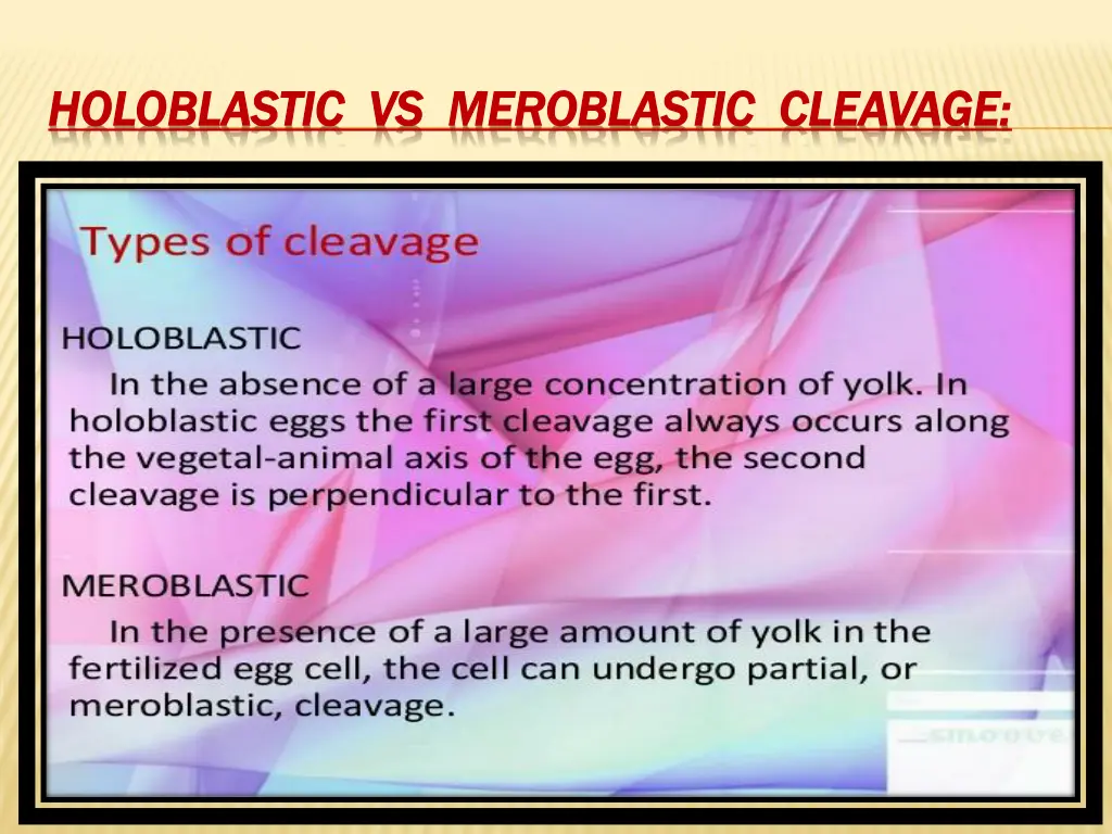 holoblastic vs meroblastic cleavage holoblastic