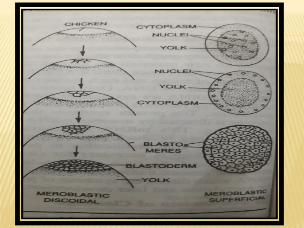 slide26
