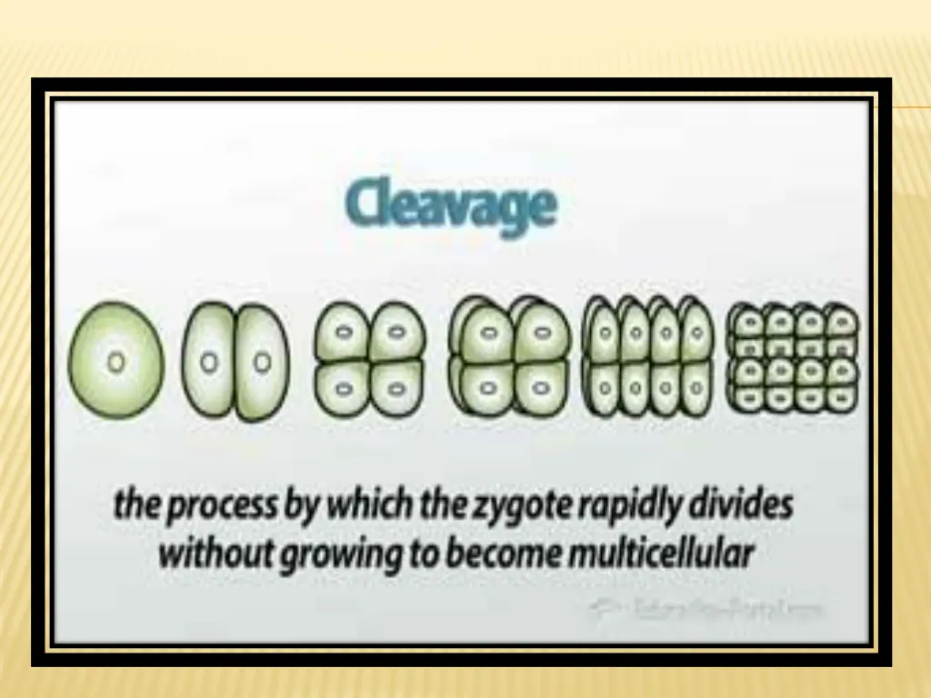 slide3