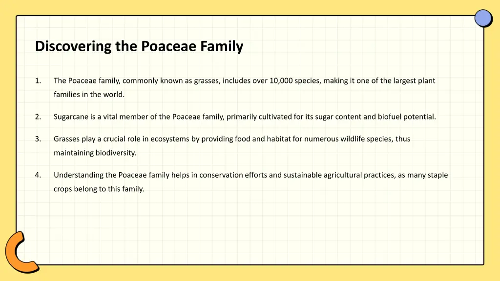 discovering the poaceae family