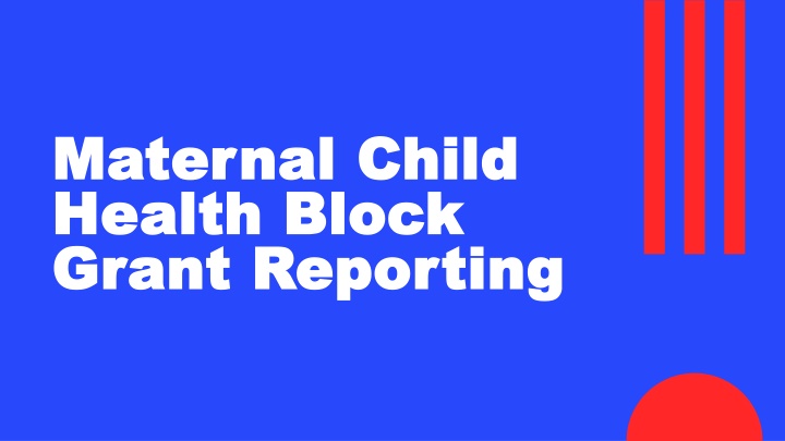 maternal child maternal child health block health