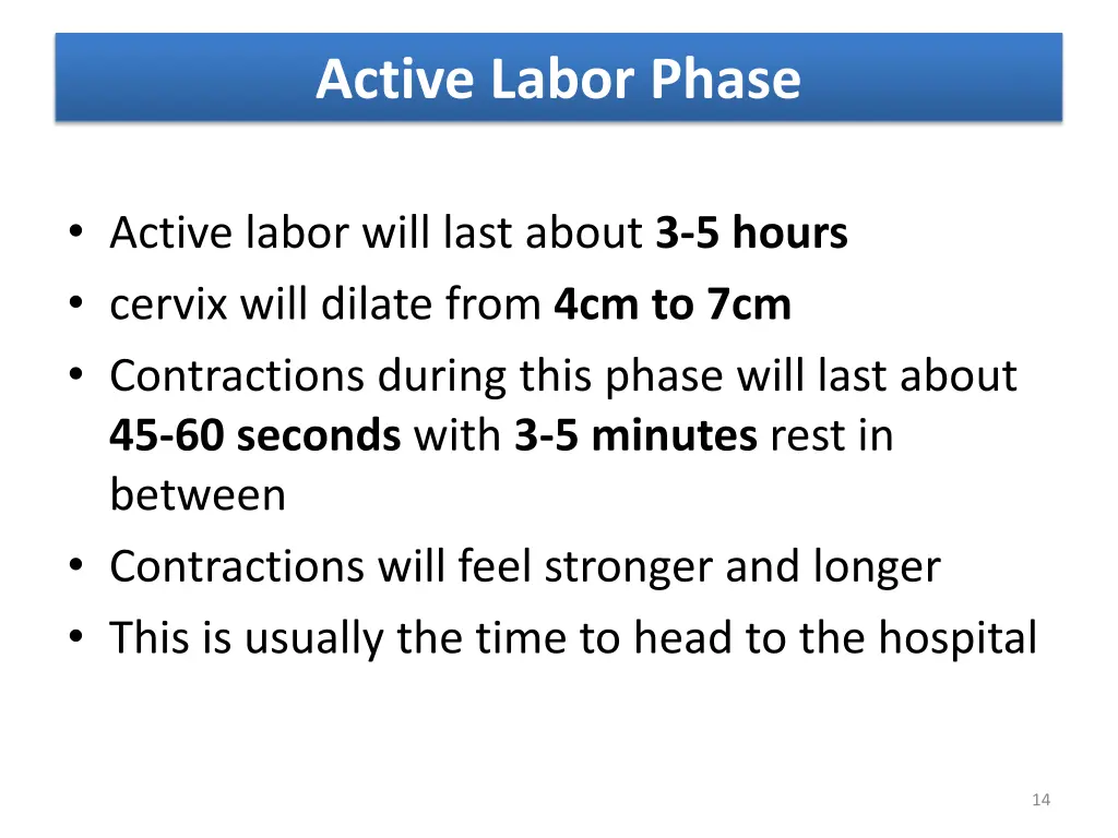 active labor phase