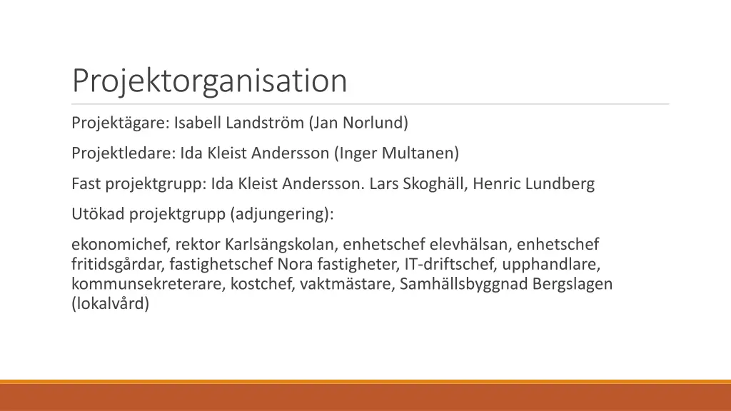 projektorganisation