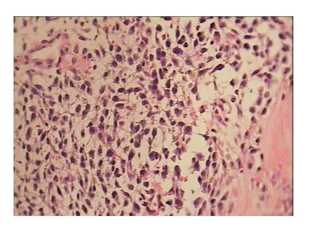 slide8