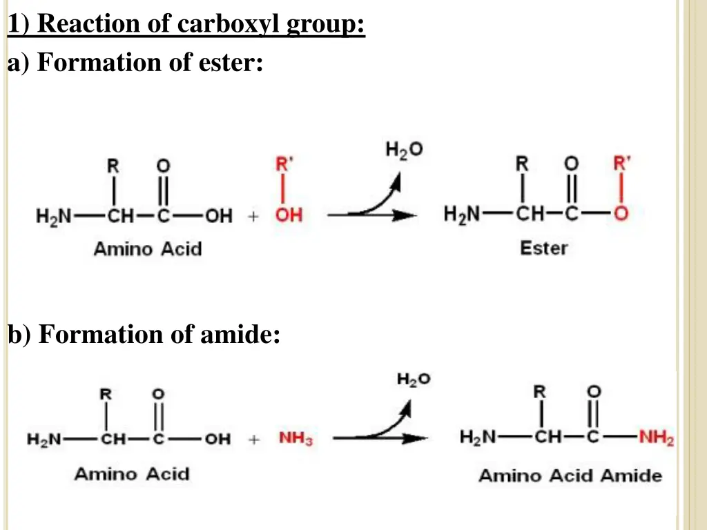 1 reaction of carboxyl group a formation of ester