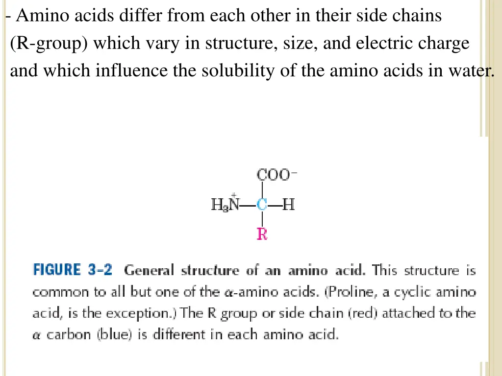 amino acids differ from each other in their side