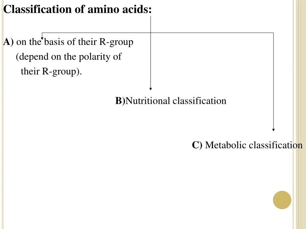 classification of amino acids