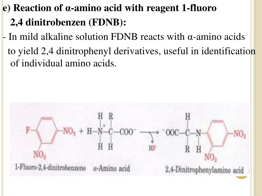 e reaction of amino acid with reagent 1 fluoro