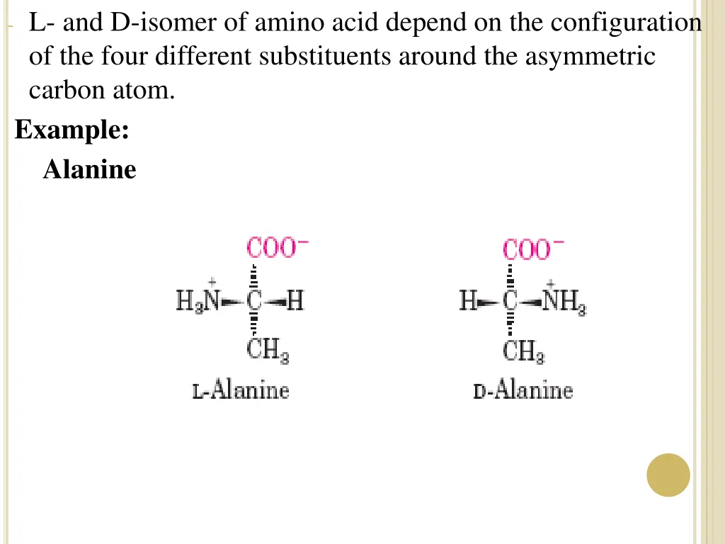 l and d isomer of amino acid depend