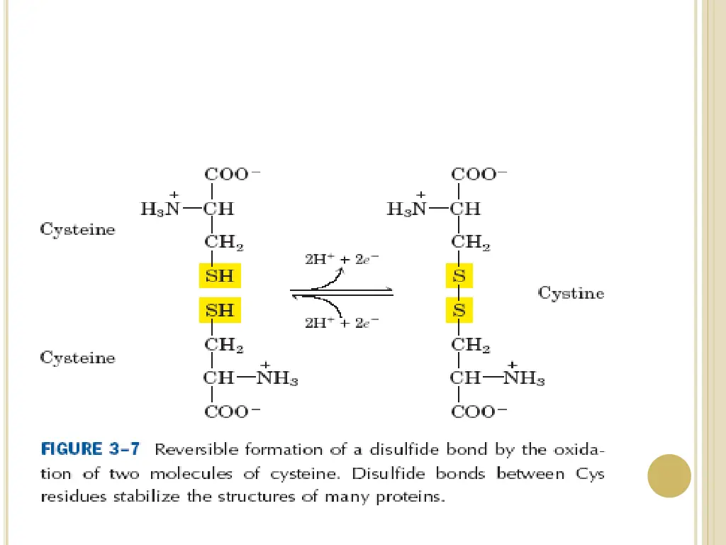 slide10