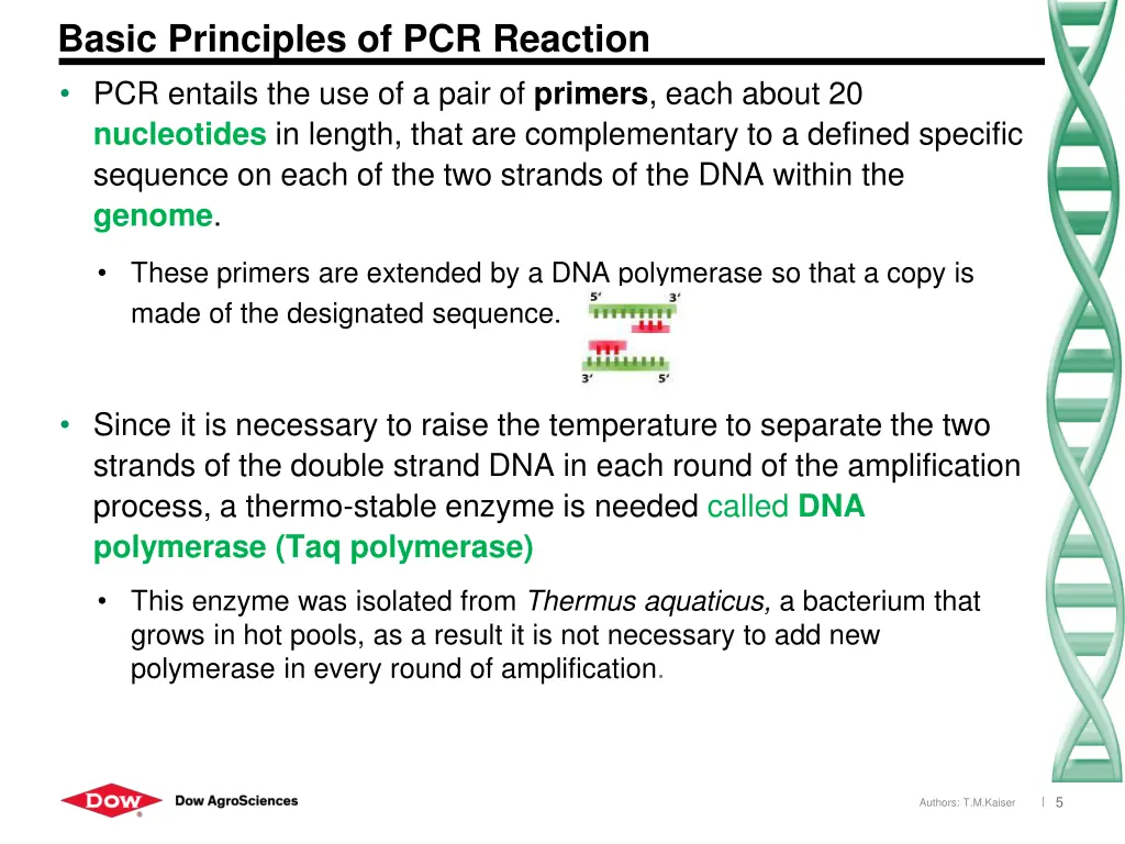 basic principles of pcr reaction pcr entails