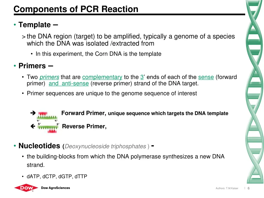 components of pcr reaction