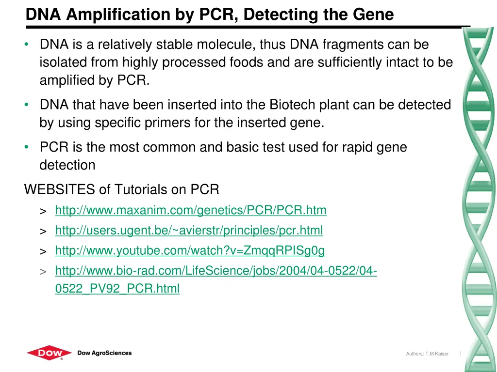 dna amplification by pcr detecting the gene