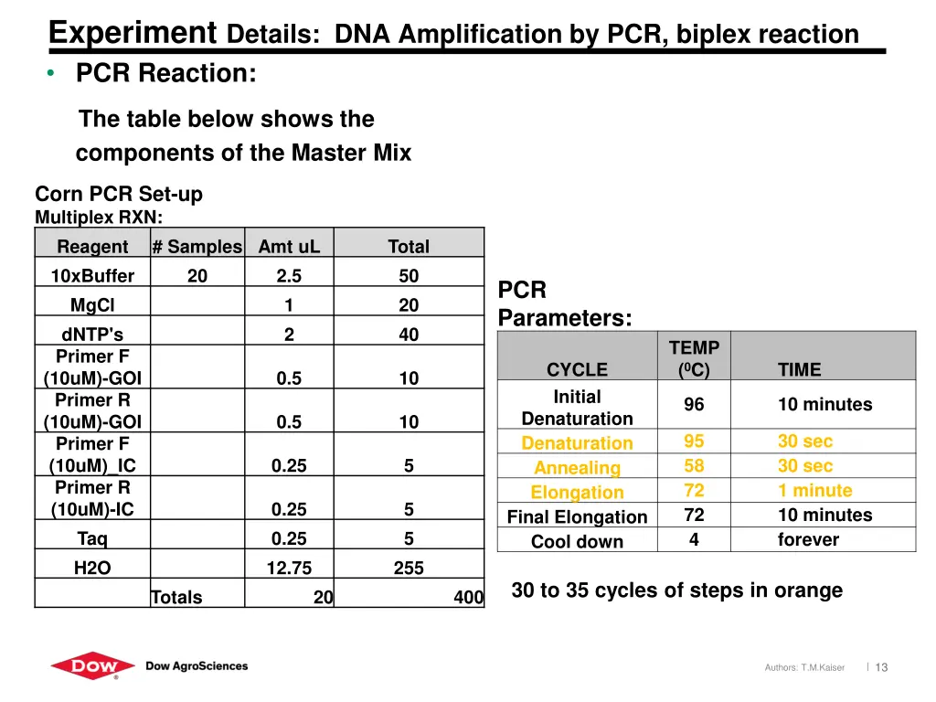experiment details dna amplification