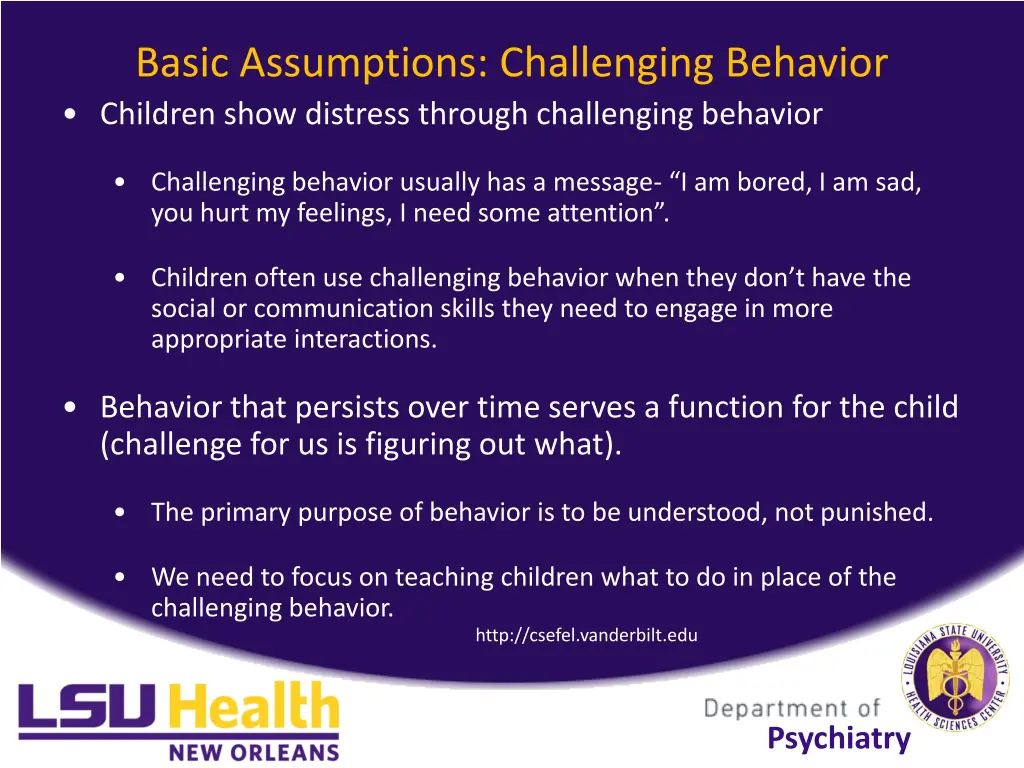 basic assumptions challenging behavior children