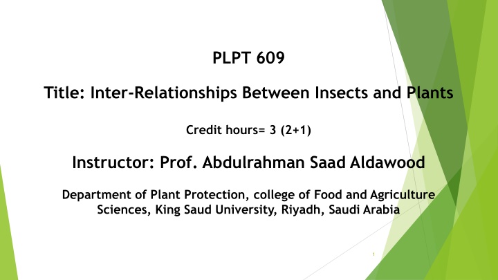 plpt 609