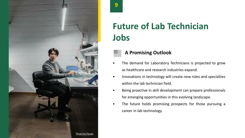 slide11