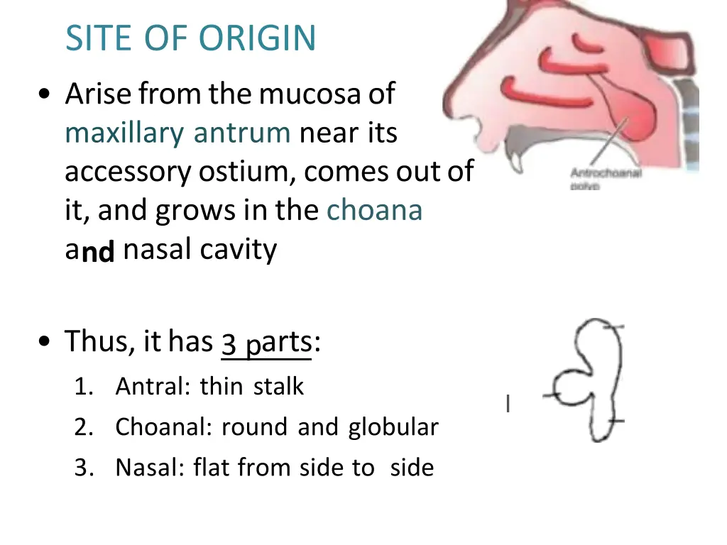 site of origin