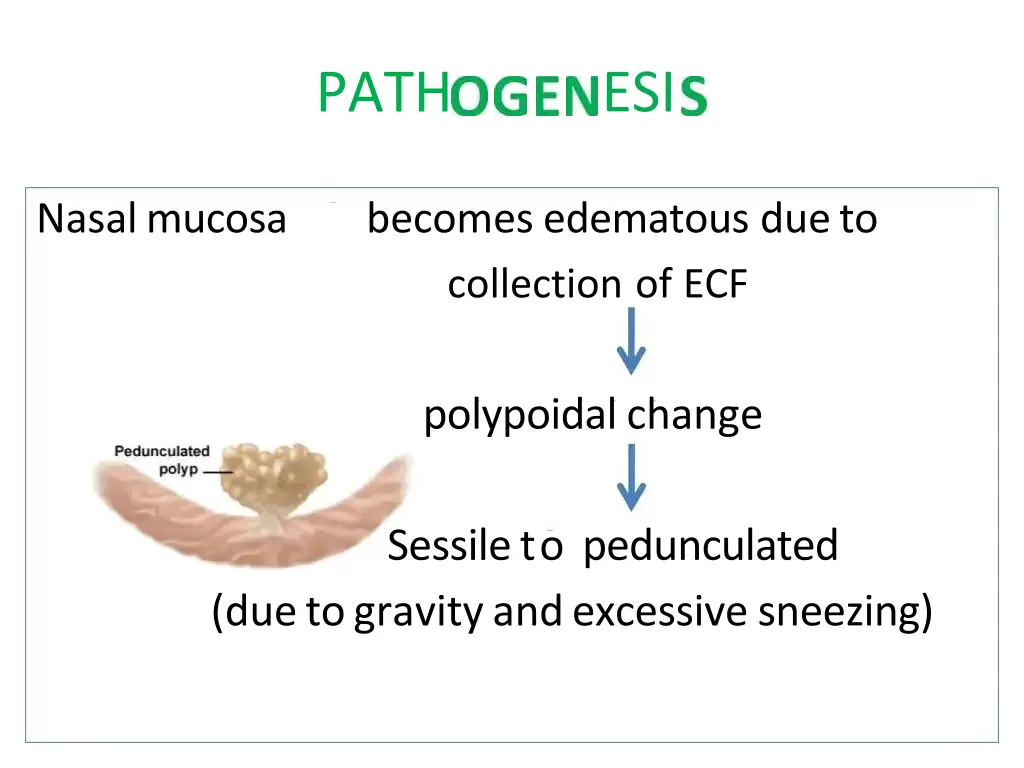 slide7