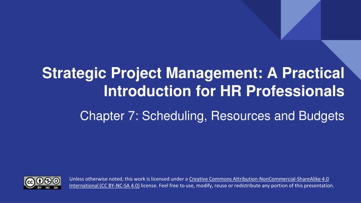 strategic project management a practical