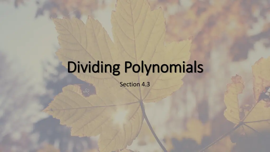 dividing polynomials dividing polynomials