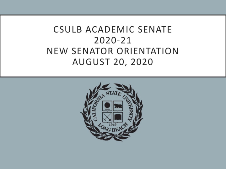 csulb academic senate 2020 21 new senator