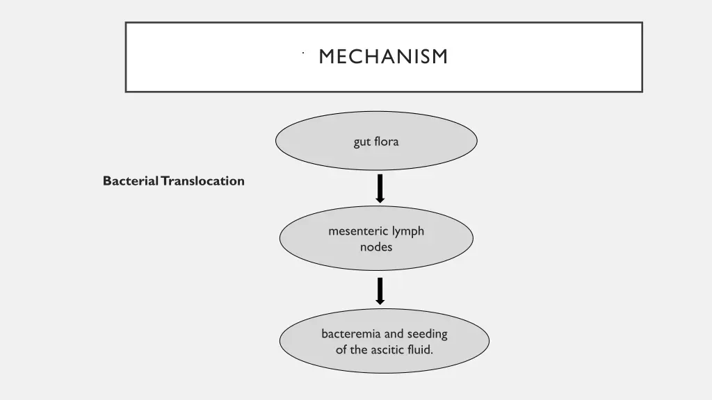 mechanism