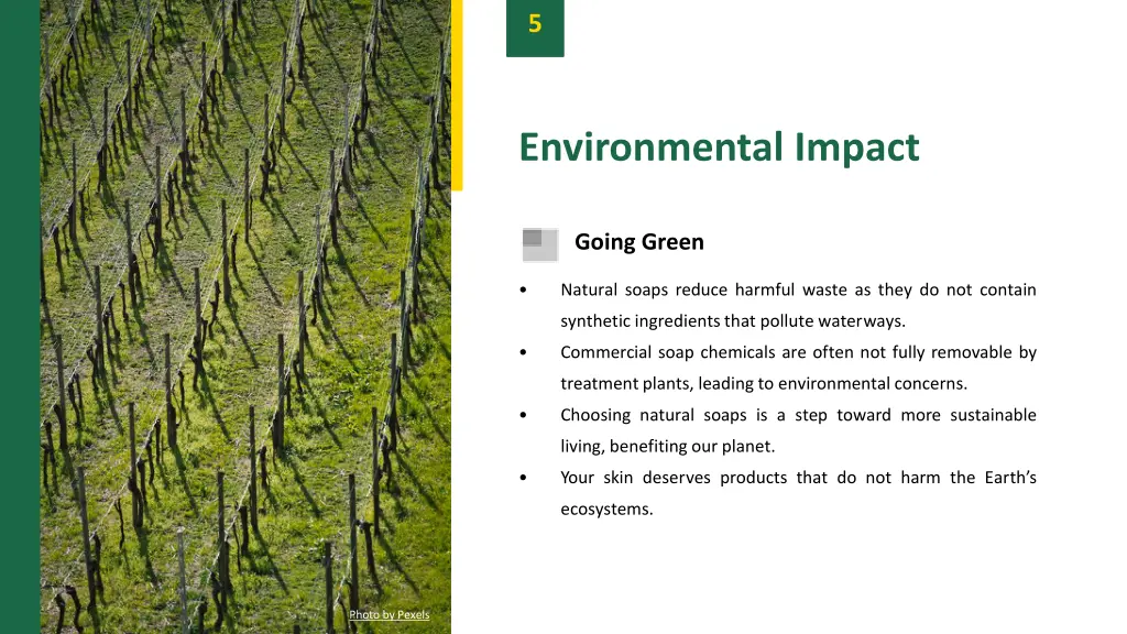 slide7