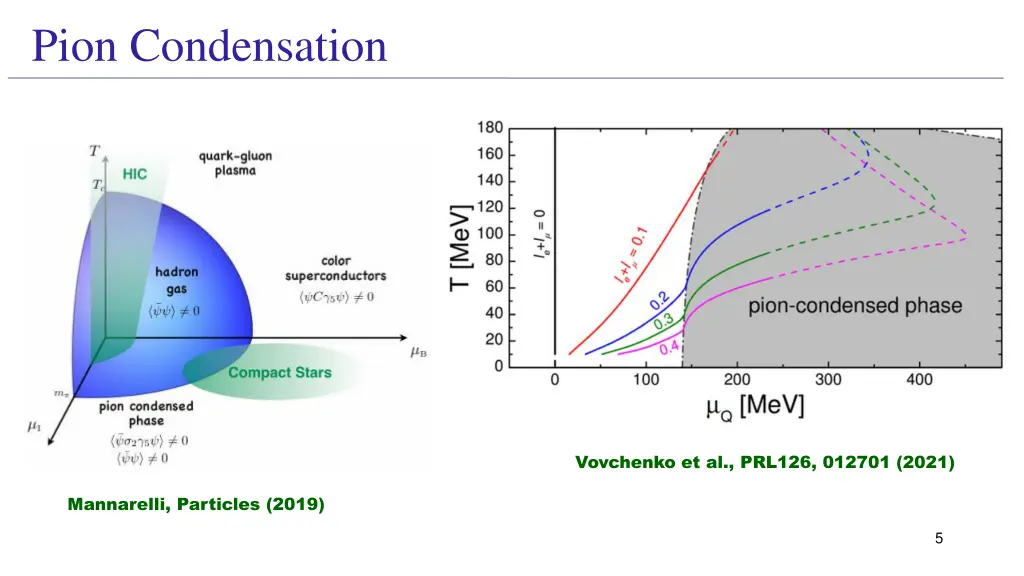 pion condensation