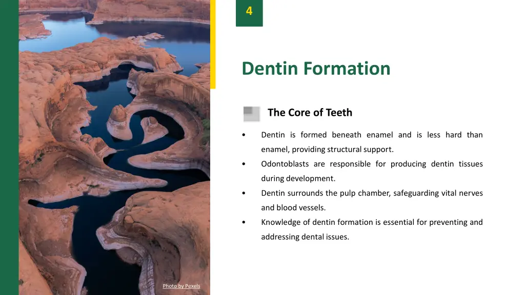 slide6